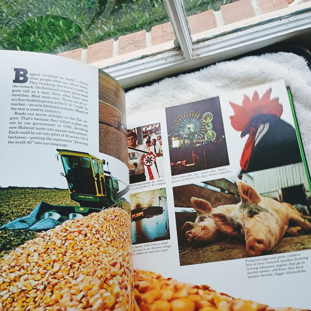 Bundle, 2 National Geographic Picture Atlas Coffee Table Books, Kids Education - Picture 4 of 14